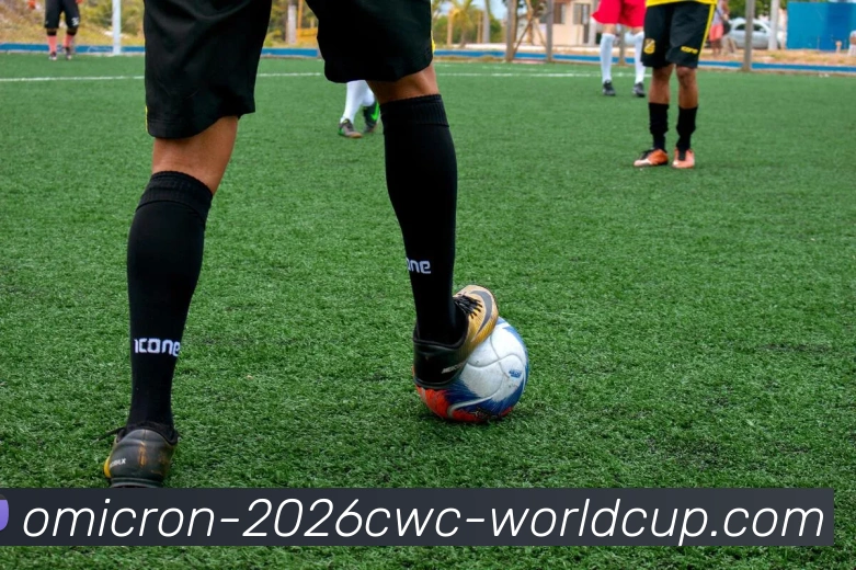 世界杯下注发展历程